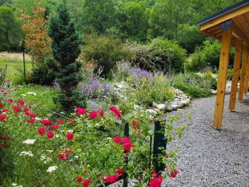 Gite La Fargue De Cabre Val-de-Sos Zewnętrze zdjęcie