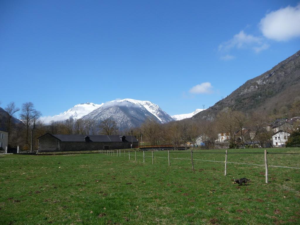 Gite La Fargue De Cabre Val-de-Sos Pokój zdjęcie